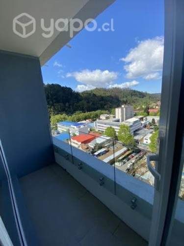 Arriendo depto a pasos del parque ecuador y UDEC