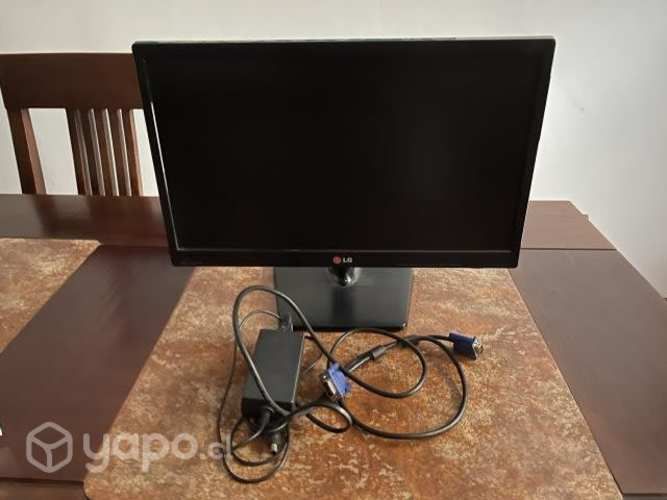 Monitor LED LG 20EN33SS-B