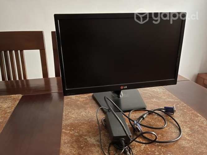 Monitor LED LG 20EN33SS-B