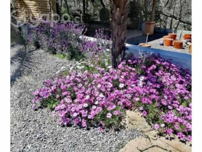 Parcela de 6800 mt2 inmersa en el bosque nat