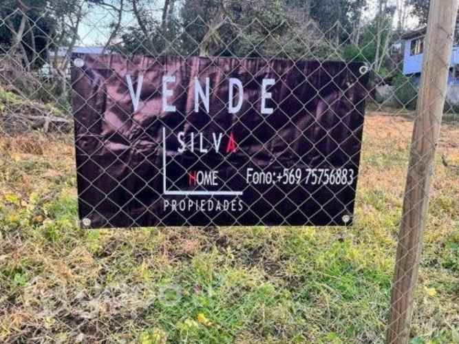 Parcela de 6800 mt2 inmersa en el bosque nat