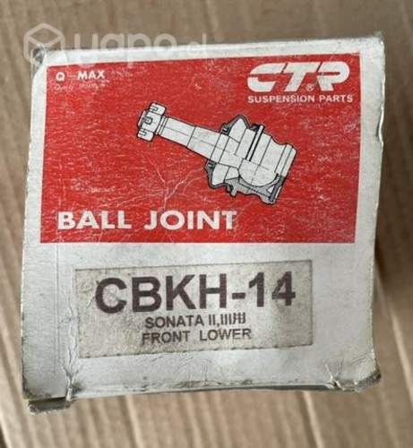 Rotula inferior sonata II III