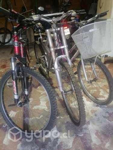 3 bicicletas de marca