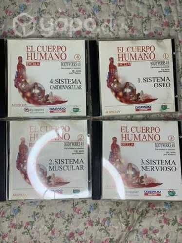 CD el cuerpo humano