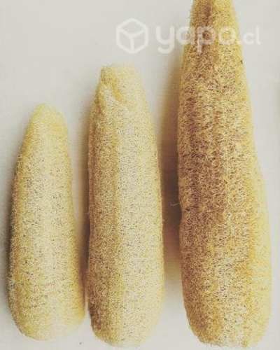 Luffa Exfoliante