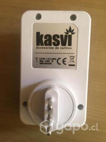 Timer Kasvi