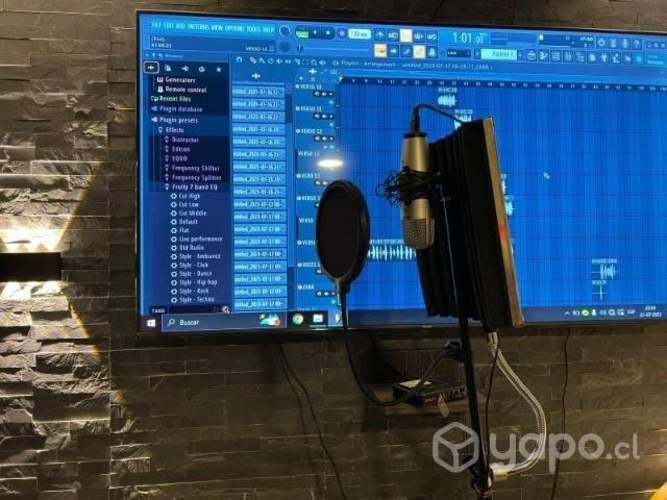 Microfono Profesional