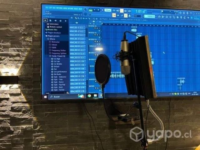 Microfono Profesional