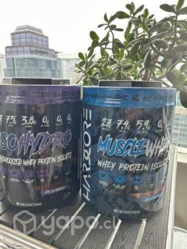 Protenias suplementos deportivos