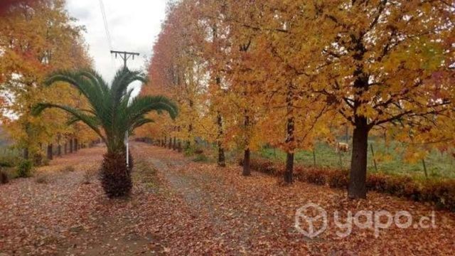 Se vende hermosa propiedad