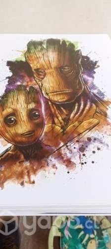 Laminas para enmarcar