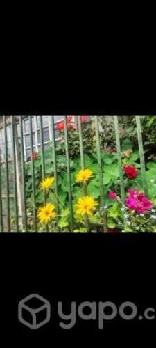 Departamento- cardonal