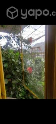 Departamento- cardonal