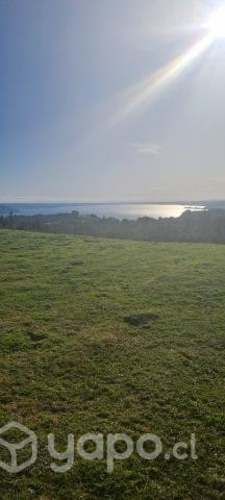 Terreno Santa Elvira Puyehue