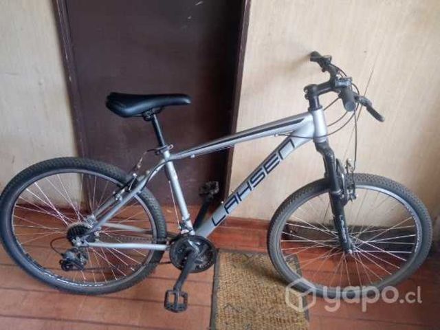 Bicicleta Adulto