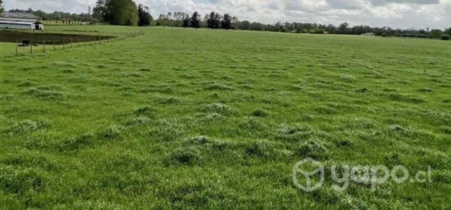 Parcela 5,65 hectáreas