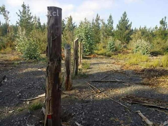 Terreno cercano a saltos del laja