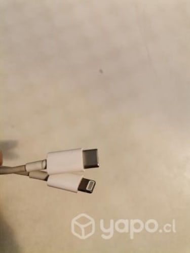 Cargador 20w mas cable lightning usado