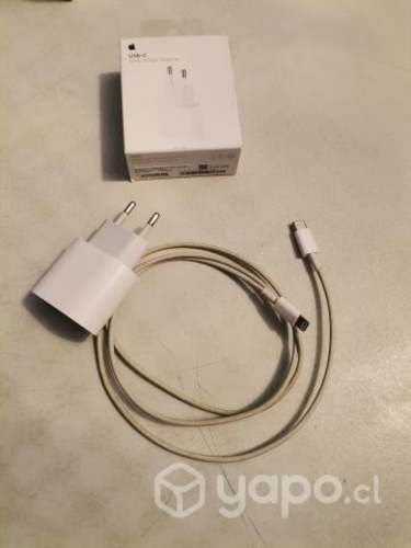 Cargador 20w mas cable lightning usado
