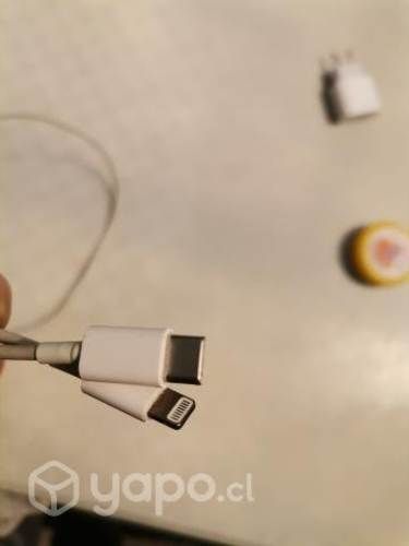 Cargador 20w mas cable lightning usado