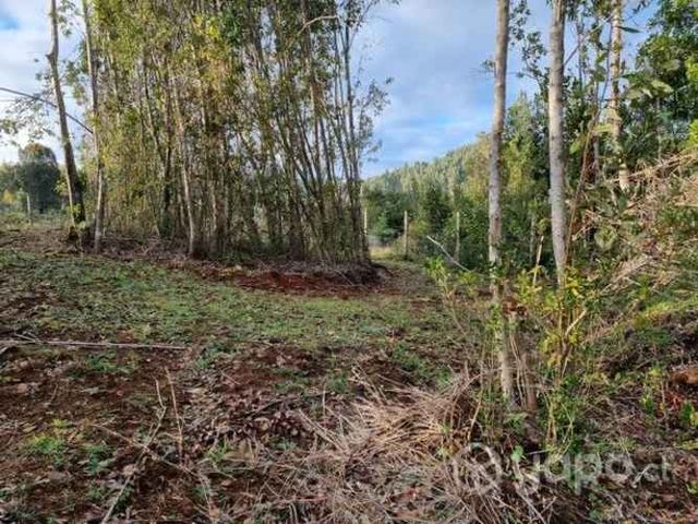 Parcela en Sector Casablanca