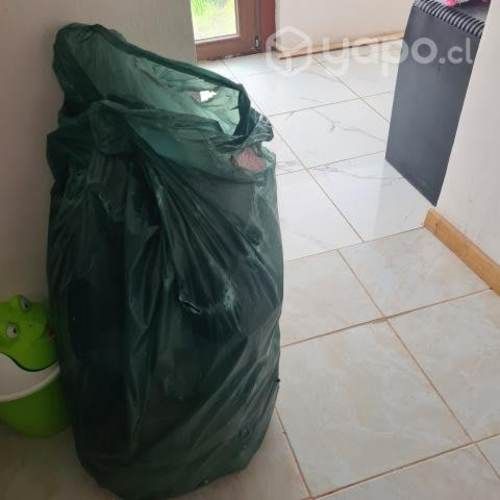 Ropa y calzado de niña habla por WhatsApp