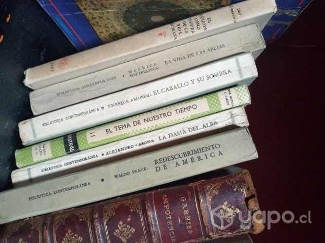 Lote de libros