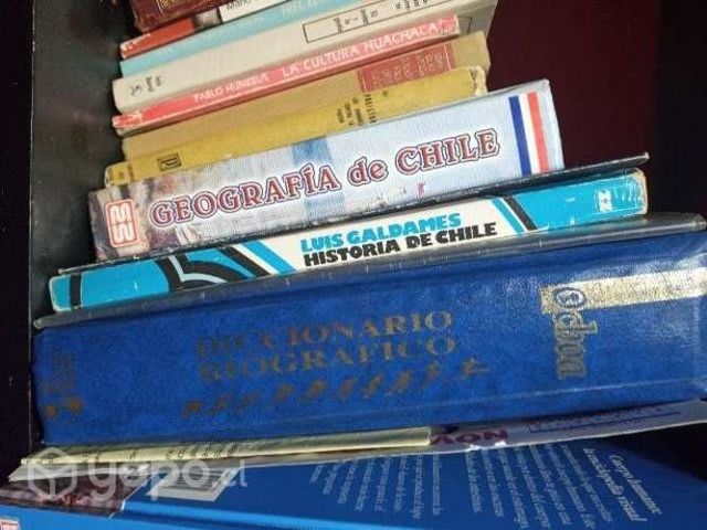 Lote de libros