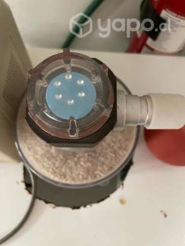 Máquina de técnicas de anestesia veterinaria