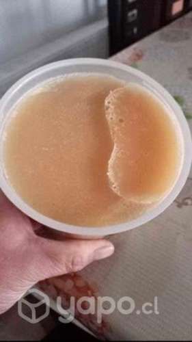 Miel multifloral 100% pura sin adulterar