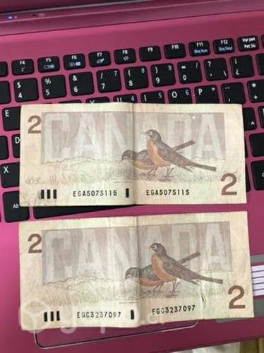 Dólares canadienses