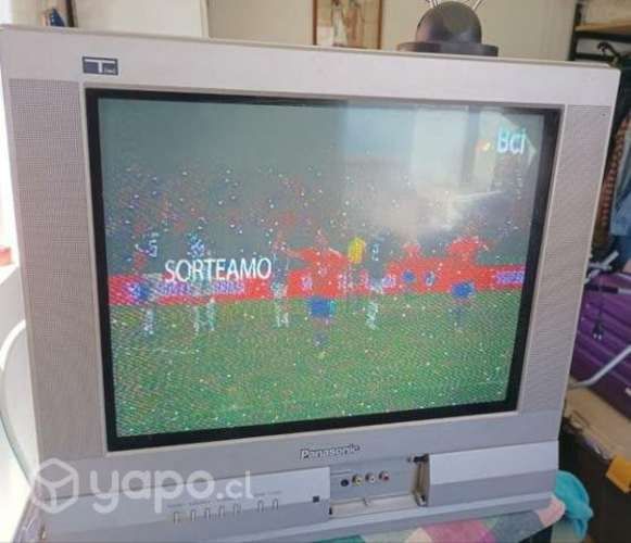 Tv Panasonic 21 pulgadas