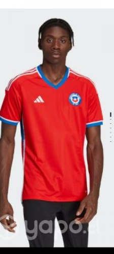 Camiseta autografiada