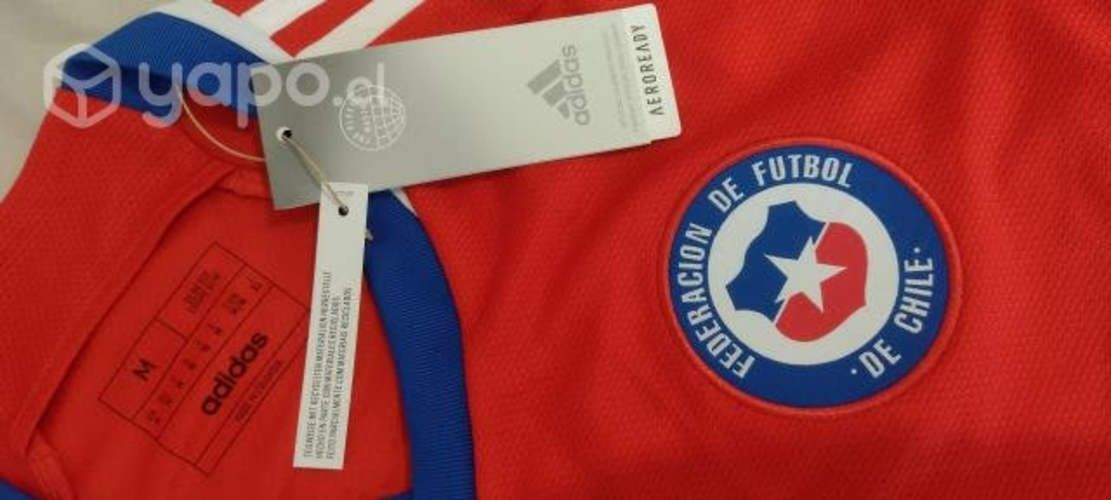 Camiseta autografiada