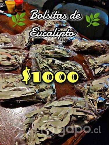 Bolsitas de Eucalipto