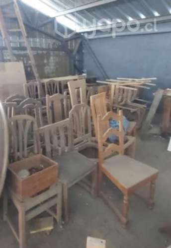 Lote de 30 sillas aprox de madera de Eucaliptus