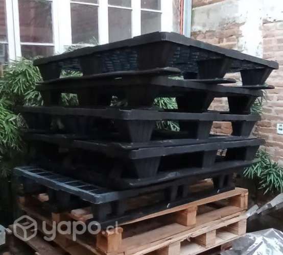 Pallet plastico 120x80 cm