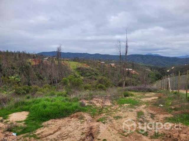 Parcela Belloto vende su dueña