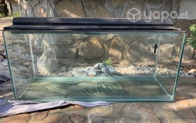 Gran Pecera con tapa. Impecable