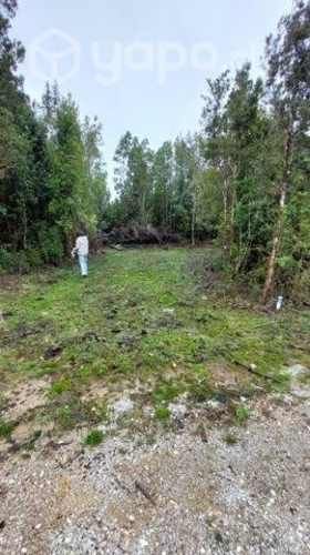 Sitio caleta manzano pucatrihue