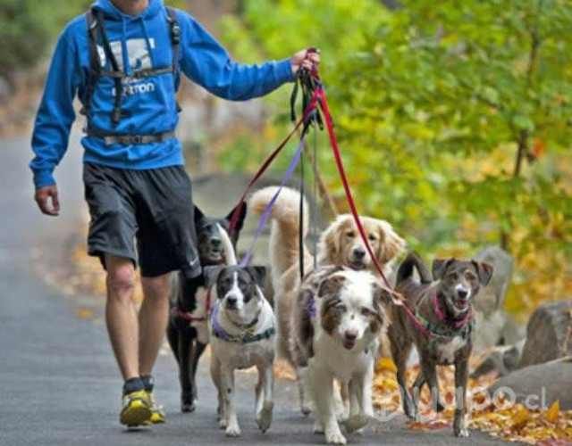Paseo su Mascota