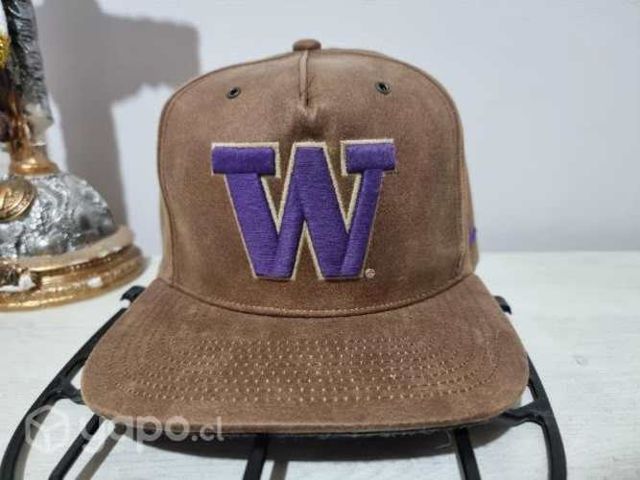 Zephye: SnapBack Wisconsin Zephye