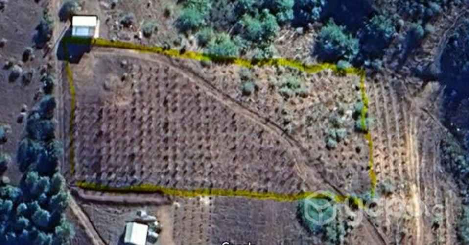 Venta de parcela, queime, quillon