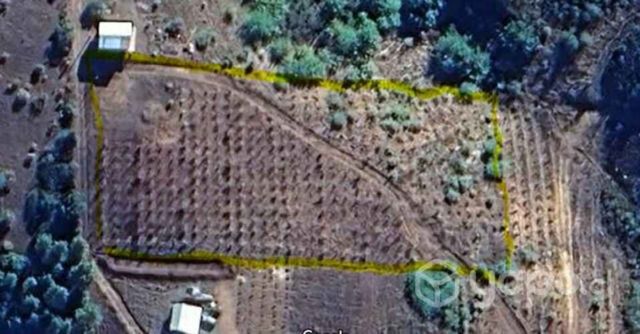 Venta de parcela, queime, quillon