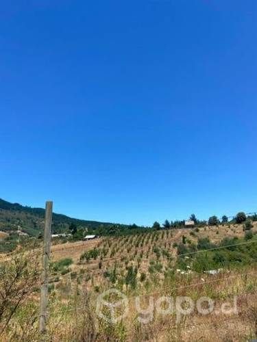 Venta de parcela, queime, quillon