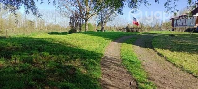 Limpieza de parcelas