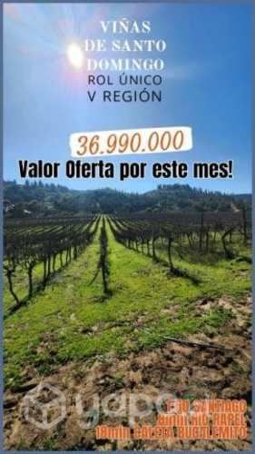 Viñas de Santo Domingo