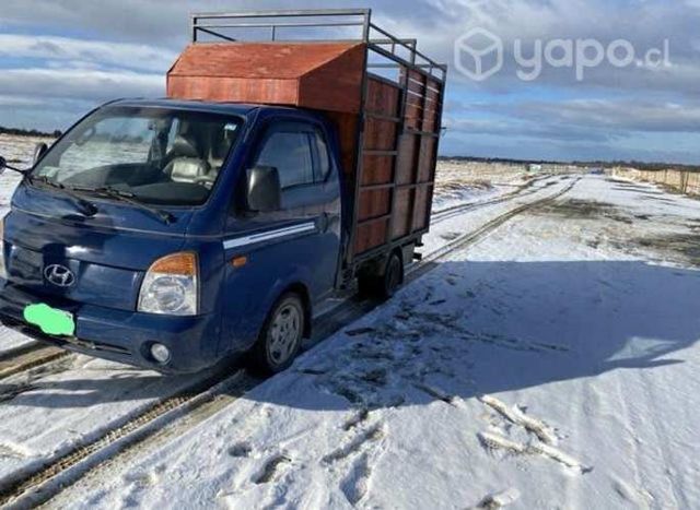 Transporte de Caballos