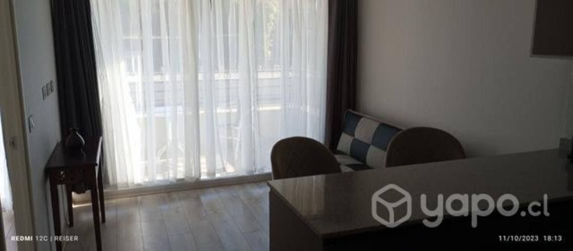 Departamento amoblado de marzo a diciembre