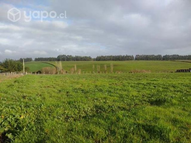 Terreno 50000mtrs2 loteado